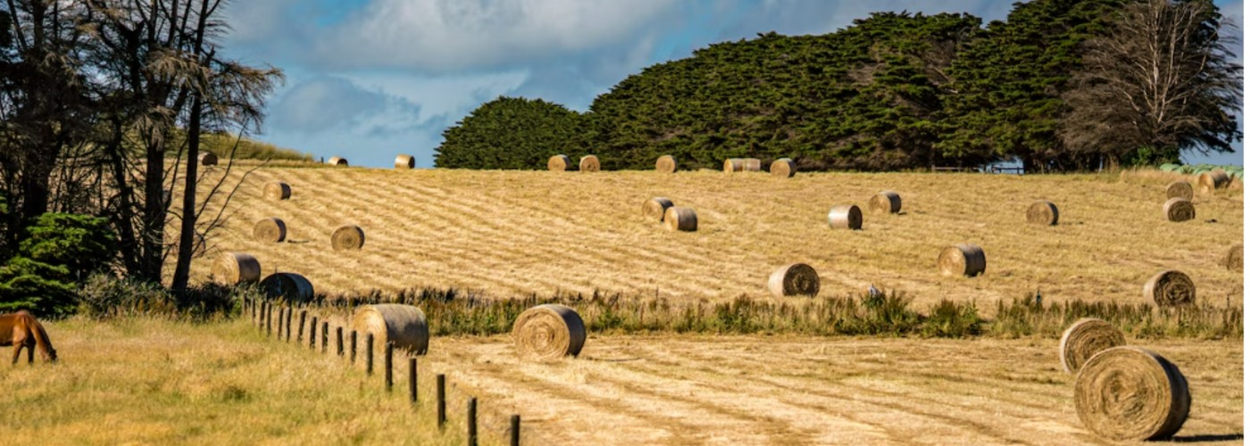 If you wish to file for an exemption, you may email exemptions@gcad.org or file via online or in person!