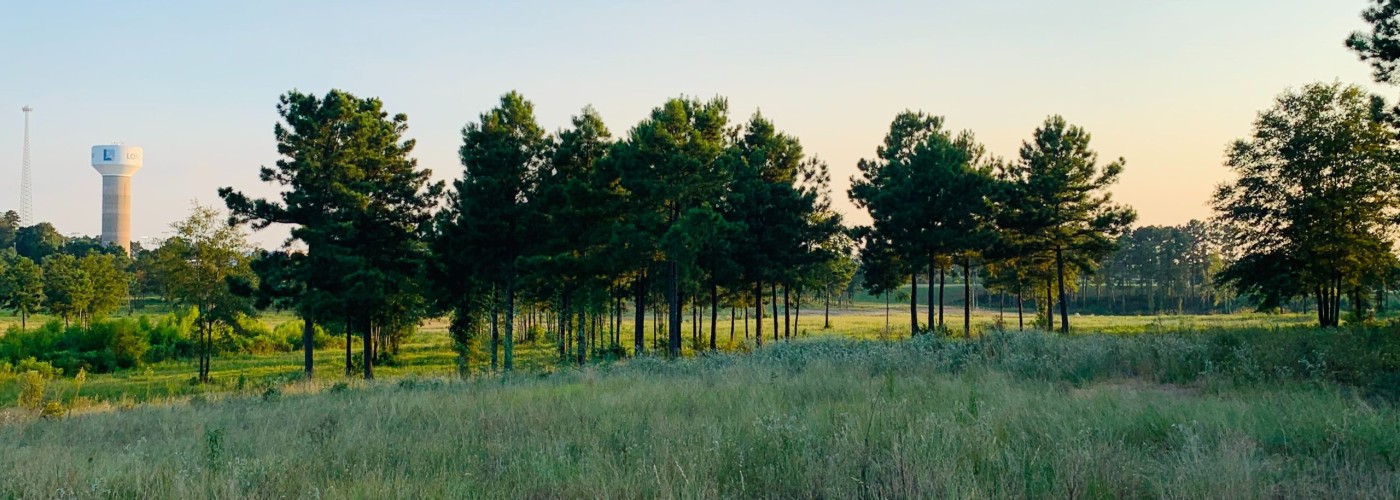 If you wish to file for an exemption, you may email exemptions@gcad.org or file via online or in person!